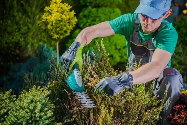 landscaping services Springville